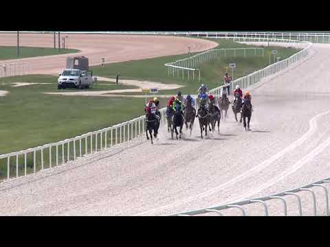 2019.05.26. 01. futam - NYERETLENEK VERSENYE (V.kat.) (szintetikus pálya)