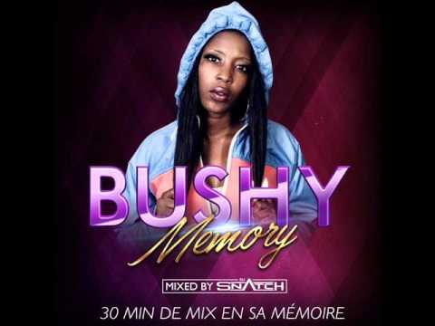 BUSHY "MEMORY" by DJ SNATCH (mix de 30 min en sa mémoire)