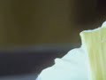 Manmathan Tamil WhatsApp Status