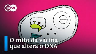 Miniatura do vídeo