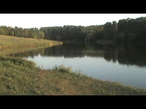 Balta de la Izvoru Gurgiu.MPG