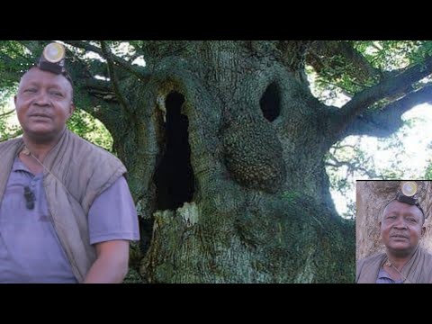 KAYEFI NLA! MO BA ARA MI NINU ILU AWON ALUJOONU, MO BA ORO IGI WO INU IHO ILE LO NI OKO ODE 