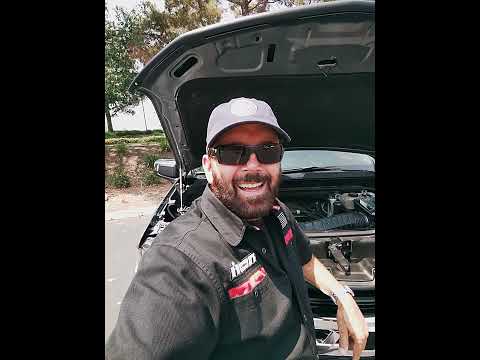 My 2019 Silverado: GM/Chevy Performance CAI system & the STILLEN air intake scoop.