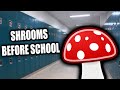 Taking Mushrooms On The First Day Of School