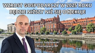 Personal assistance is a boost for the Polish economy - Kamil Sobolewski, Pracodawcy RP