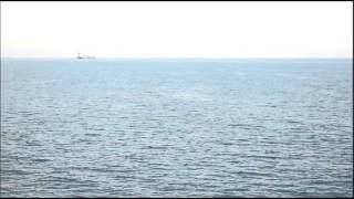 Jason Moran: Milestone