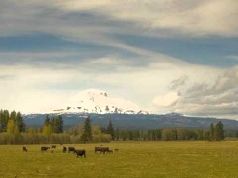 Poster char bhaje bagon mein