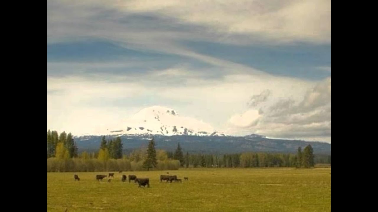 Char Baje Baagon Mein Lyrics  | Taqdeerwala | Venkatesh, Raveena Tandon | Sadhana Sargam, Udit Narayan | Anand Shrivastav, Milind Shrivastav