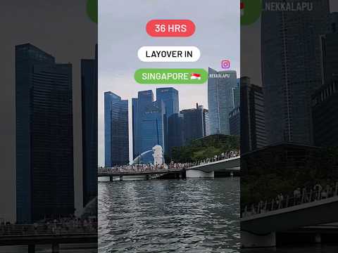 layover in singapore 🇸🇬 @herwanderwings #singapore #singaporetravel