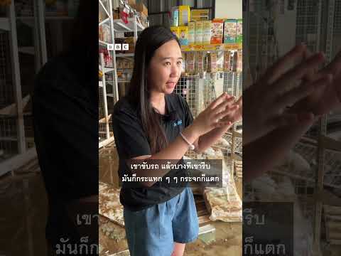 “มันไปหมดเลย” ฟังเสียงเจ้าของกิจการ สำรวจความเสียหายหลังน้ำลด #bbcthai