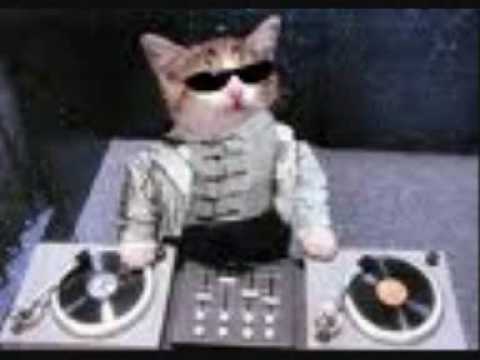 SNAP VS EURYTHMICS -  Rhythm is a dream (Mash up)