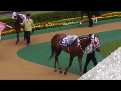 The 18 contenders for the GI 2018 Victoria Mile in the parade ring