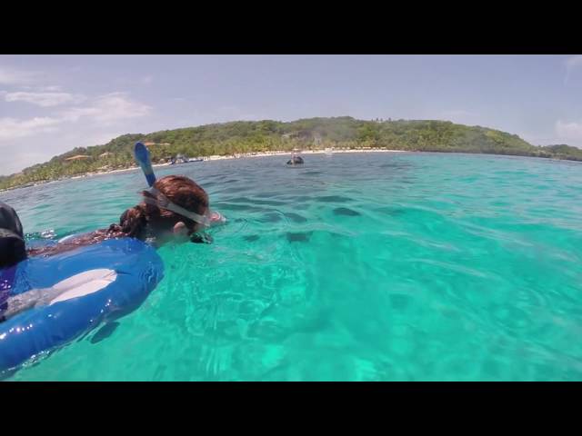 Snorkeling in Roatan, Honduras