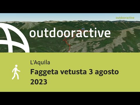 Faggeta vetusta 3 agosto 2023