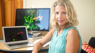 Neuroscientist Beth Stevens, 2015 MacArthur Fellow
