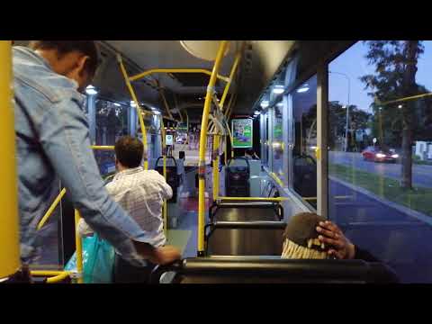 Transperth Bus No. 1667