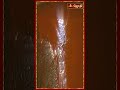 பில்வாஷ்டகம் Bilvashtakam With Tamil Lyrics Sivan Stotram Jothitv