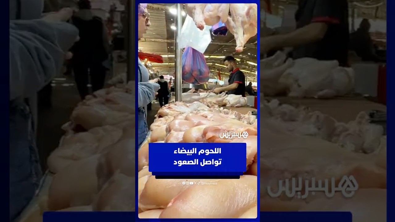 أسعار اللحوم البيضاء بين ارتفاع الطلب وتراجع العرض… مواطنون يشتكون والباعة يوضحون الأسباب thumbnail