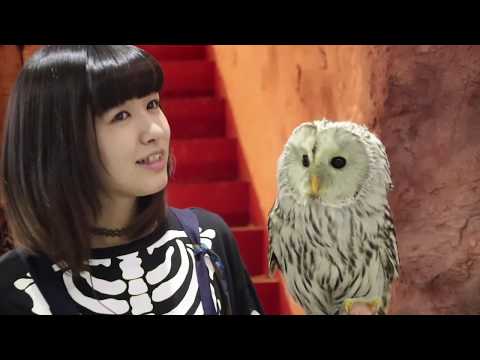 R.O x Konoba - I Could Be