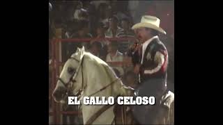El Gallo Celoso - JOAN SEBASTIAN (En vivo)