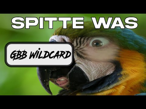 Slizzer -  Spitte Was