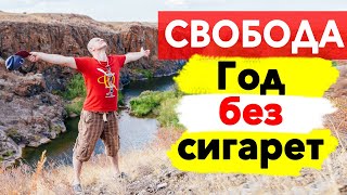 Бросил Курить. Что будет, если бросить курить? Год без сигарет