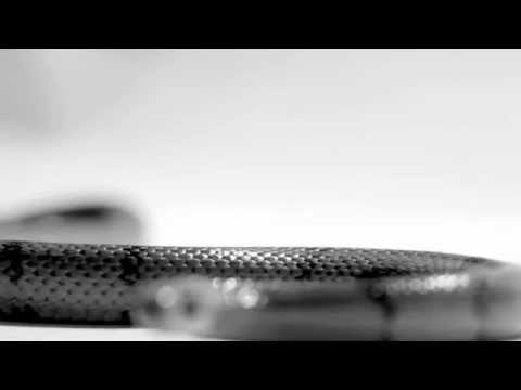 Up High Collective WHAT?! Trailer