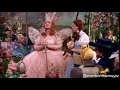 WIZARD OF OZ Movie Title Name Drop