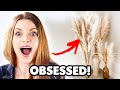 PAMPAS GRASS DECOR TIPS TRICKS Things You Don T Know
