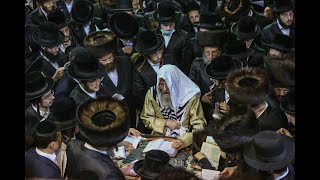 הסליחות של ר' מיילך בידרמן במירון!  |  Rabbi Elimelech Biderman