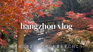 【杭州Vlog】紅葉とグルメと街歩き、2週連続でめぐる深まる秋の杭州