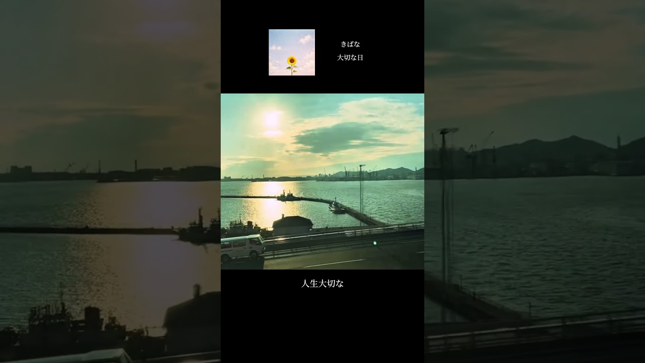 大切な日はいつですか？#shorts