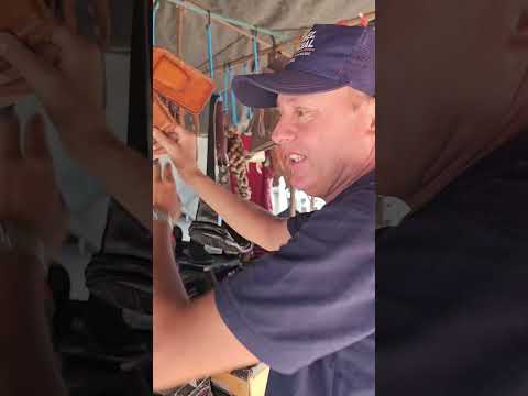 Feira de gado de Campo Grande Alagoas  todos os sábado 03/10/2026