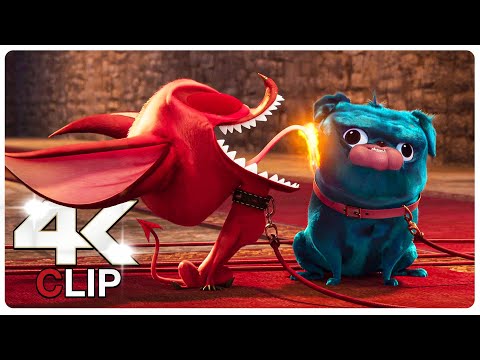 Monster Pets - Have got