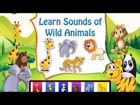 Baby Piano Animals Sounds Apps Video