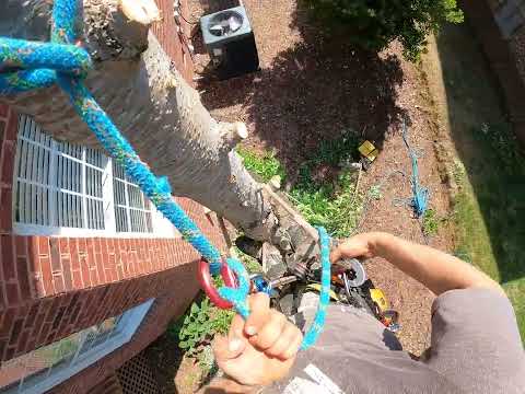 How to descend on a figure 8