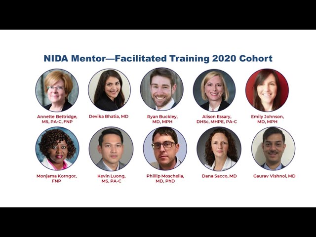 NIDA's Mentor-Facilitated Training Awards (MFT)