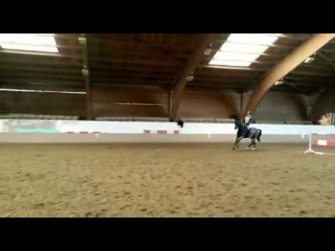 Miro und Isi 22 11 2014 Adamstal