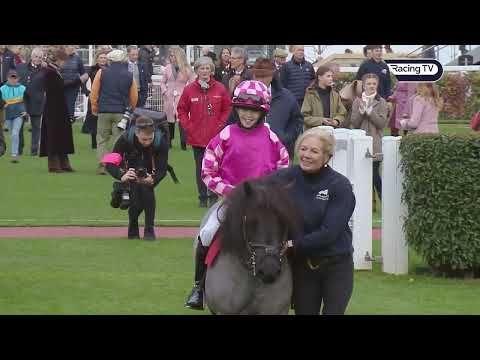 Early confusion and a great celebration in Shetland Pony Race!