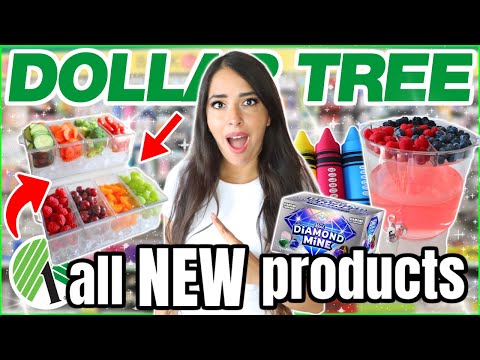 Dollar Tree *ALL NEW* Finds that are ACTUALLY worth it this July 2025 (from a pro)