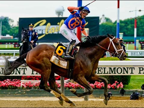 EQUOS MONDO GALOPPO   puntata 6