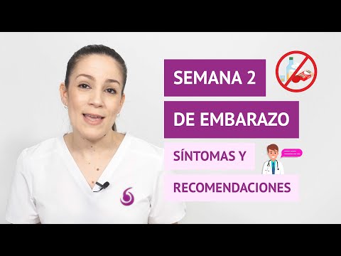 Semana 2 de embarazo: síntomas y recomendaciones para la madre