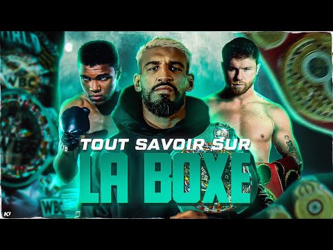 I explain everything about boxing! Rankings, belts, etc....!!!