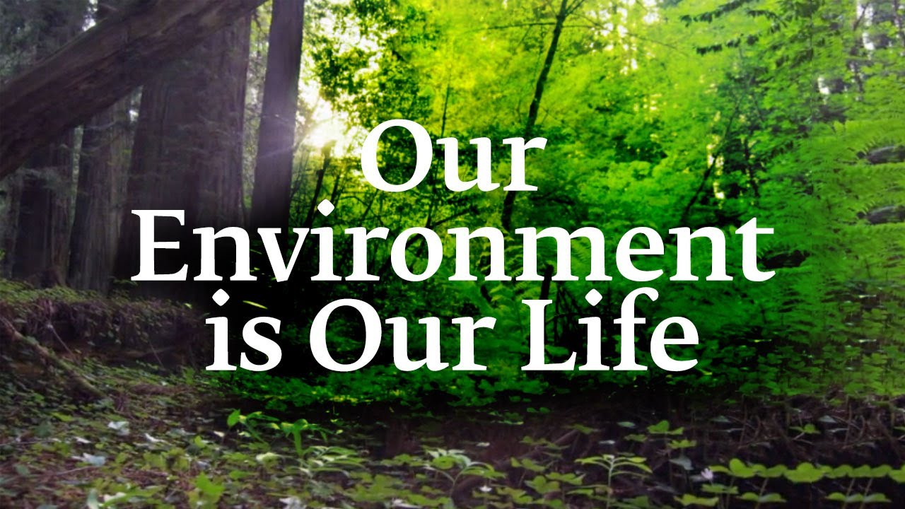 Our Environment is Our Life | Sadhguru