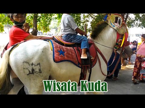 Kuda Delman🔹Wisata Kuda BKT Riding Horse
