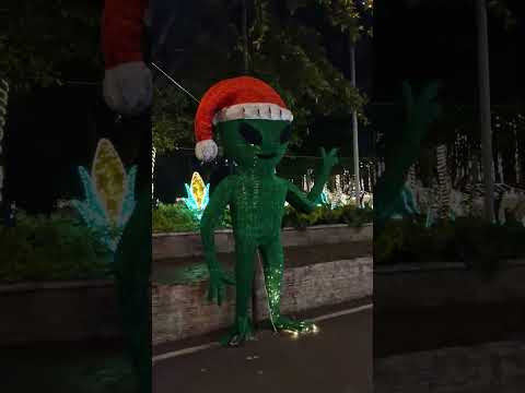 Alumbrados en Tabio, Cundinamarca. ✌🏽👸🏼🛵🐒☕️📷🇨🇴💙#viajandoenmoto #amocomosoy  #amoelcafe #viajandosola