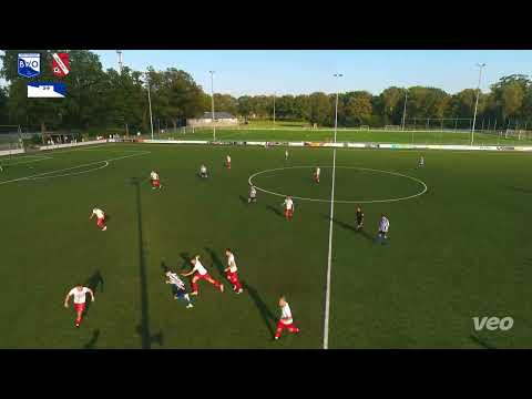 Samenvatting BWO - Daarleveen