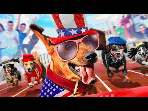 Супер Такса — Русский трейлер