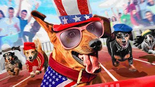 Трейлер: Супер Такса