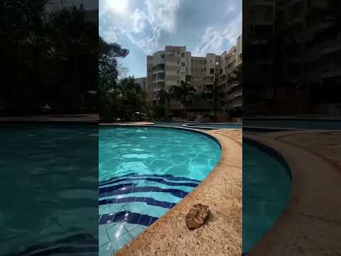 Piscinas de águas quentes no Thermas Paradise em Rio Quente! #thermas #paradise #thermaparadise